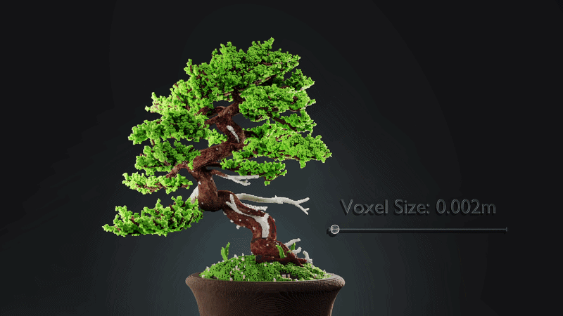 bonsaianim6 digital production Potted bonsai tree with a user interface label reading 'Voxel Size: 0.002m' and a slider, illustrating a 3D voxel detail control next to the plant image.