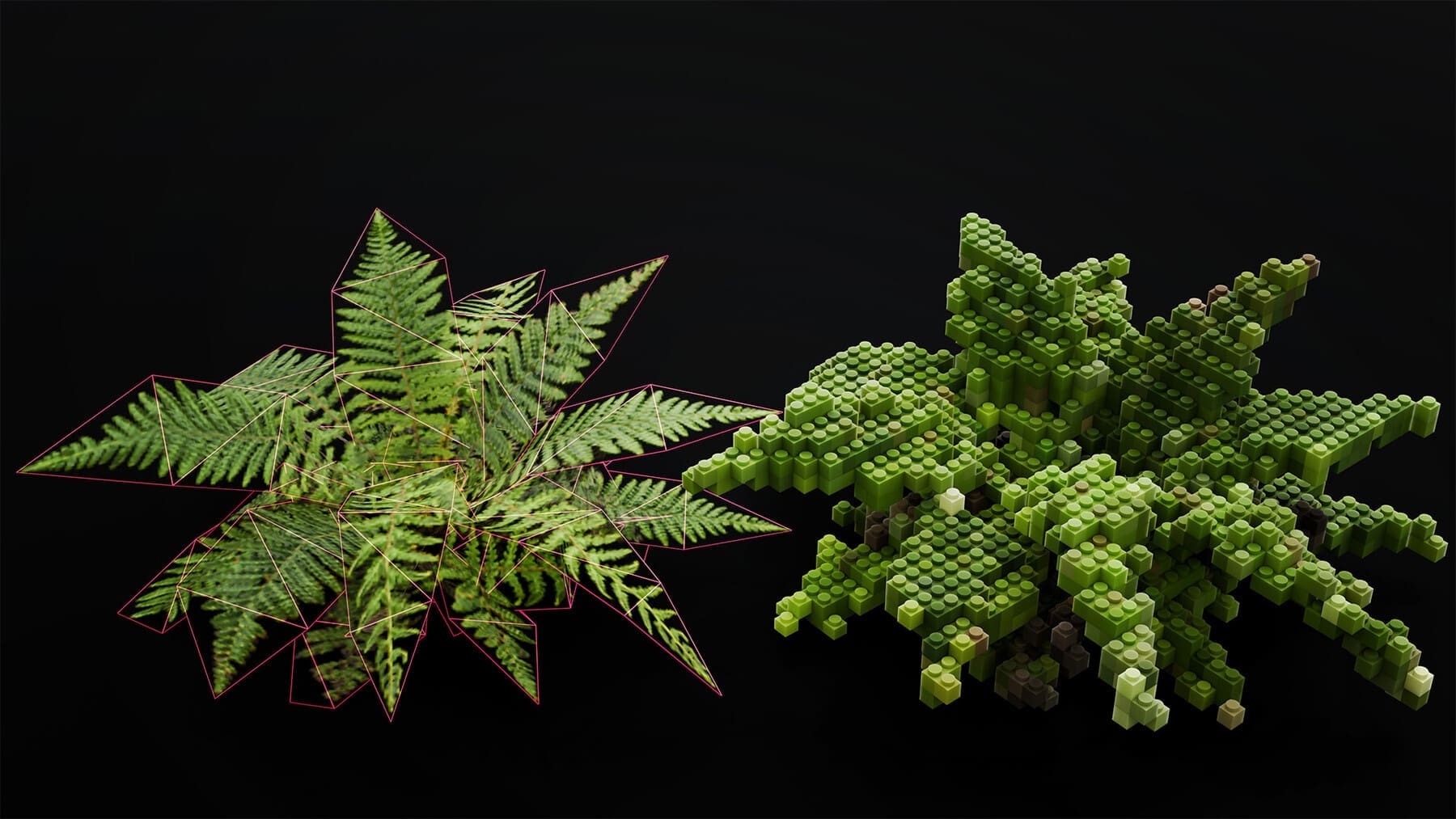 a striking visual of two plants against a black background on the left a vibrant fern with intricately detailed fronds showcasing rich green tones and subtle red outlines on the right a stylized geometric interpretation of foliage formed from varied cubic shapes in various shades of green digital production A striking visual of two plants against a black background: on the left, a vibrant fern with intricately detailed fronds showcasing rich green tones and subtle red outlines; on the right, a stylized, geometric interpretation of foliage formed from varied, cubic shapes in various shades of green.