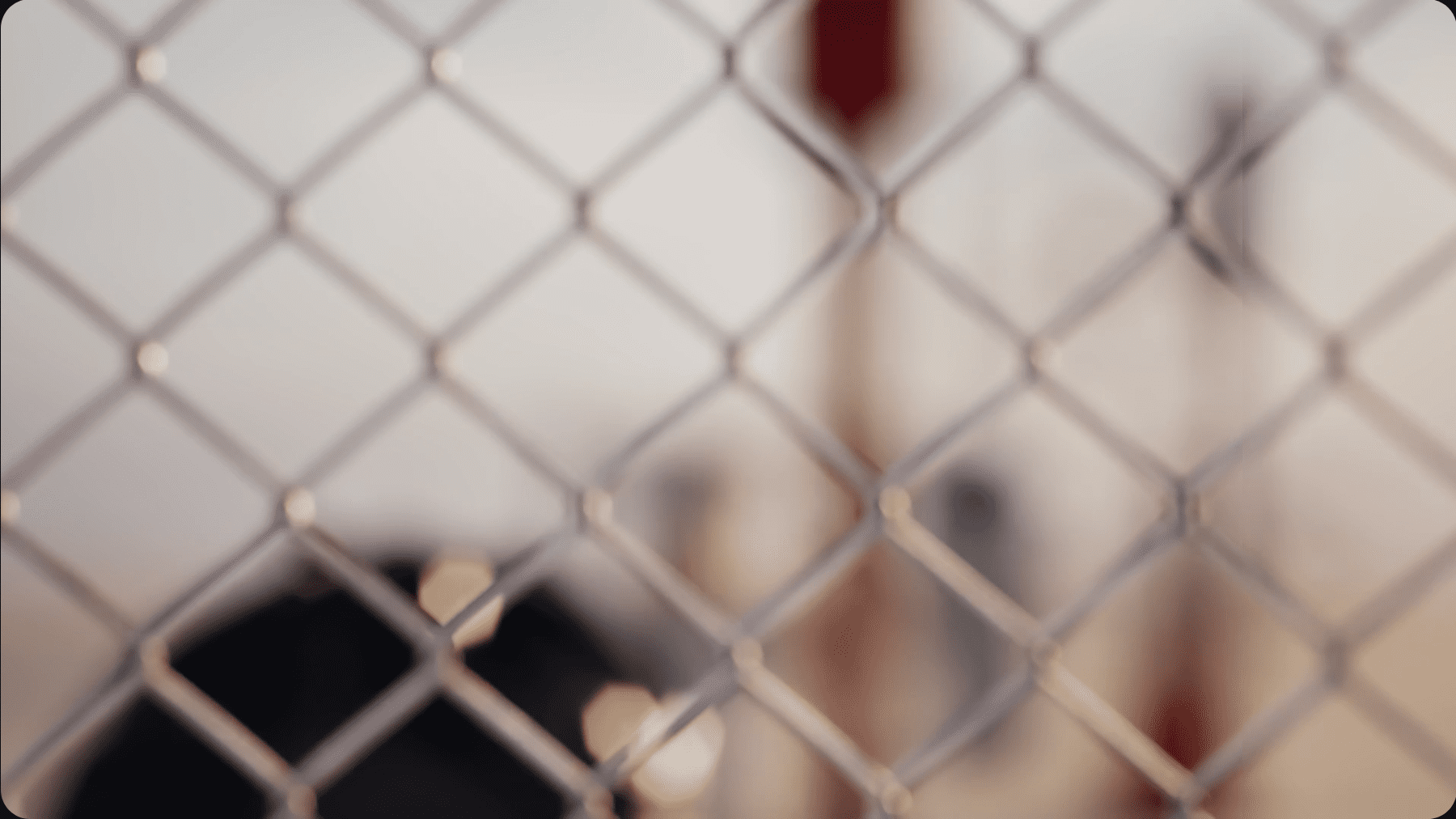 a blurry photograph through a delicate chainlink fence revealing indistinct shapes in the background the geometric patterns of the fence create an intriguing interplay of light and shadow suggesting a sense of confinement against a softly blurred urban landscape digital production A blurry photograph through a delicate chain-link fence, revealing indistinct shapes in the background. The geometric patterns of the fence create an intriguing interplay of light and shadow, suggesting a sense of confinement against a softly blurred urban landscape.
