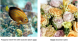On the left, a vibrant orange and blue fish glides gracefully through a coral reef, its scales glinting in dappled sunlight. To the right, an array of delicate roses in soft pastel hues is arranged artfully, with tiny white daisies nestled among the blooms, adding charm and freshness.