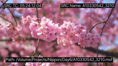 https://www.sgo.es/wp-content/uploads/Nippon_Slate_S2_02.avif