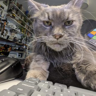 A long-haired gray cat rests its front paws on a keyboard beside a black computer mouse, filling the foreground with shaggy fur and prominent whiskers. Shelves of tools and equipment line the background of a workshop-like room, with cool indoor light and a colorful window adding muted contrast.