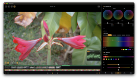 BlackRAW – a pocket-sized Studio